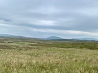 Ffynnon Eidda von Carrog
