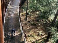 Fietsen door de Bomen