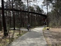 Fietsen door de Bomen