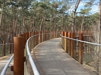 Fietsen door de Bomen