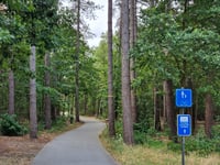 Fietsen door de Bomen