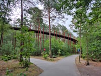 Fietsen door de Bomen