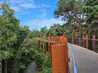 Fietsen door de Bomen