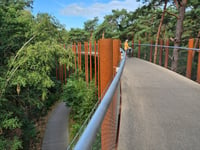Fietsen door de Bomen