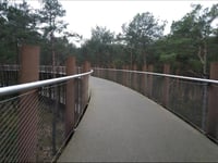 Fietsen door de Bomen