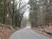 Filipsberg da Wapenveld