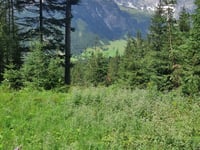 Filzensattel desde Maria Alm