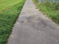 Finkenberg von Omperter Weg
