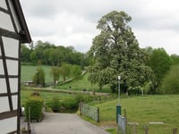 Finkenhag from Mamelis