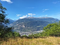 Finnen von Baltschieder