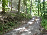 Finsterau