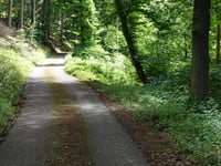 Finsterau