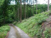 Finsterau