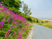 Firle Beacon von West Firle