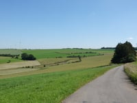 Fischbach von Grindhausen