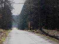 Fischbachstrasse / Süssendel von Vicht