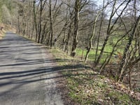 Fischbachstrasse / Süssendel von Vicht