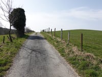 Fleuth über Im Loh