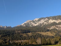 Flims Waldhaus von Tamins