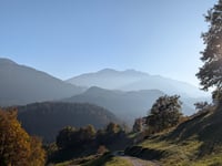 Flims Waldhaus von Tamins