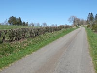 Flugplatz Büllingen da Büllingen via Im Sief
