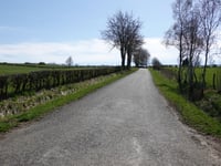 Flugplatz Büllingen von Krinkelt