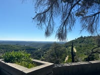 Foia / Serra de Monchique von Caldas de Monchique