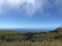 Foia / Serra de Monchique von Caldas de Monchique