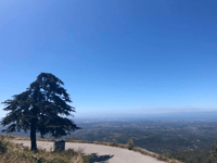 Foia / Serra de Monchique von Caldas de Monchique