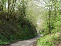 Fond de Bansion von Polleur