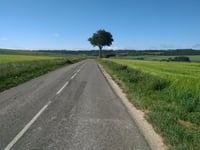 Fond de la Vanque von Coulomby