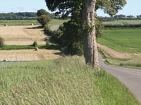 Fond de la Vanque von Coulomby