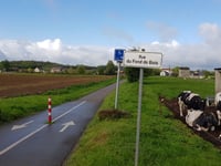 Fond du Bois von Les Avins