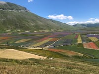 Forca di Gualdo über Castelluccio