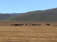 Forca di Presta da Castelluccio