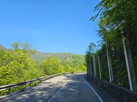 Forcella di Bura von Ponti