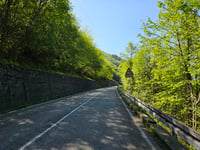 Forcella di Bura von Ponti
