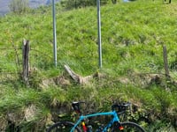 Forcella di Bura von Ponti