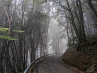 Forcella di Ranzanico via Peia
