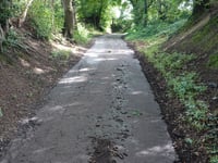 Forensberg über Geuchter Weg