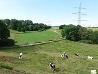 Forensberg über Geuchter Weg