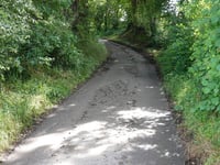 Forensberg über Geuchter Weg
