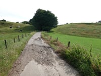 Forensberg über Geuchter Weg