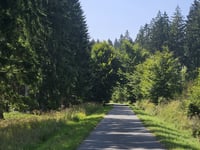 Forsthaus Dedenborn von Auf den Feldern