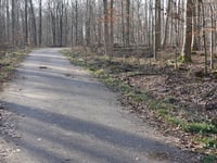 Forsthaus Wenau