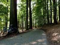 Fortuinberg