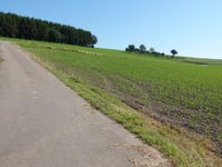 Fossenhof von Laangbaach