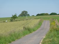 Fossenhof von Laangbaach