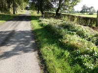 Fosseyer Weg from Hergenrath