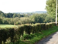 Fosseyer Weg from Hergenrath